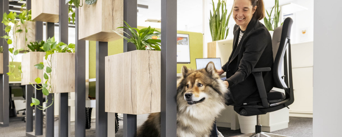 (Junior) Brand Experience Manager (m/w/d) als Elternzeitvertretung, 1. Bild