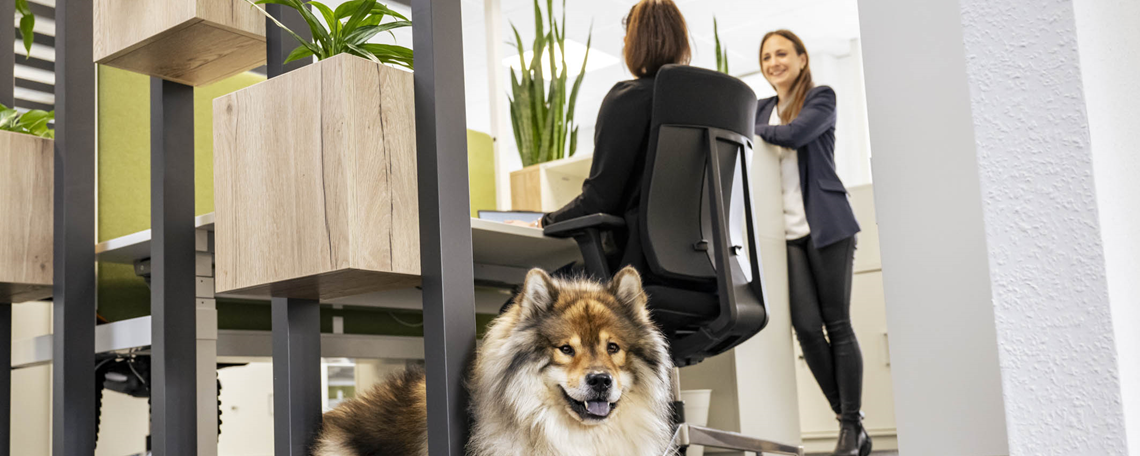 Personalreferent (m/w/d) Employer Branding/Ausbildungsbetreuung, 1. Bild