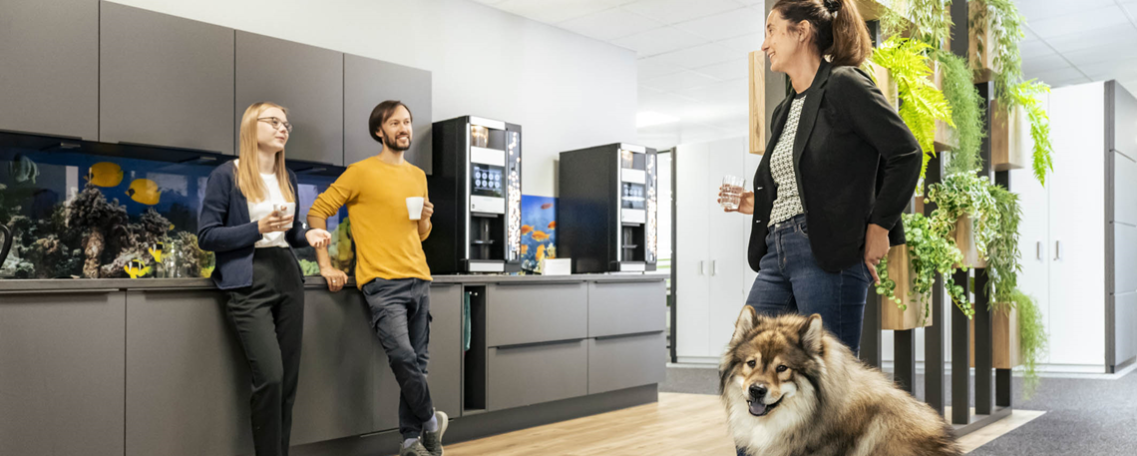 Junior Paralegal (m/w/d), 2. Bild