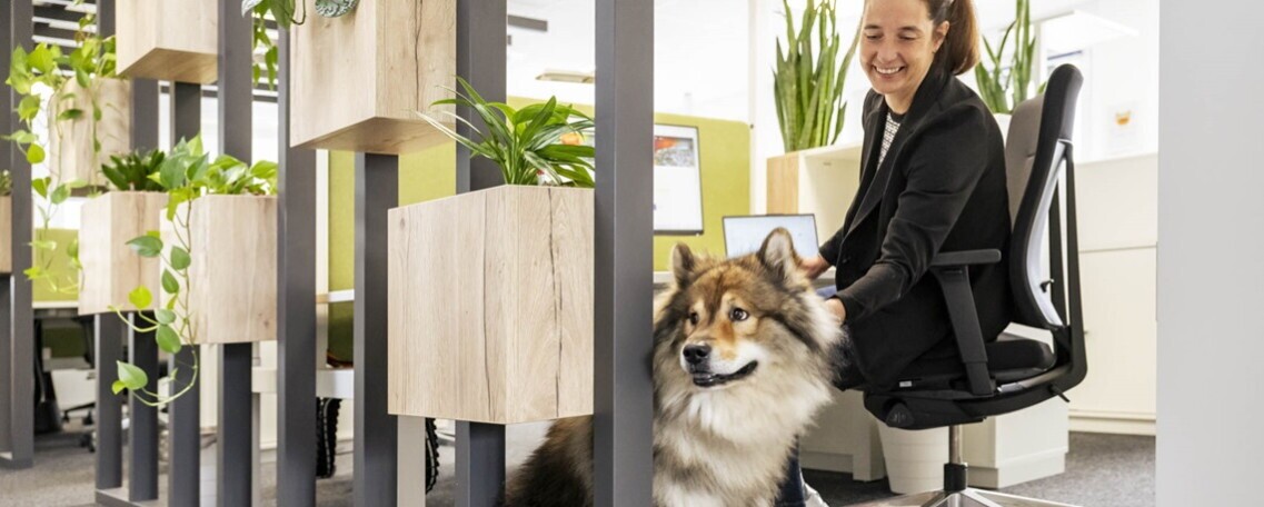 HR Business Partner (m-w-d), 2. Bild